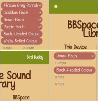 StringSight Action Looping